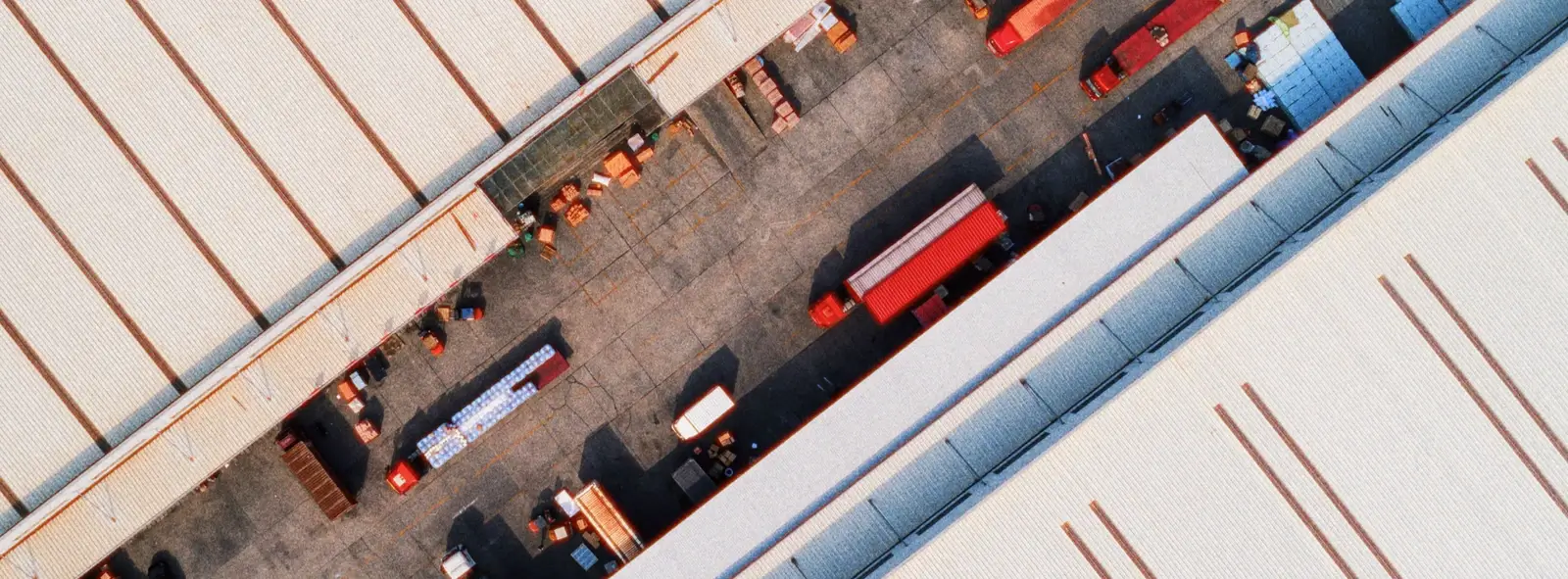 Commerçants algériens utilisant MAGASIN PRO pour vendre en ligne